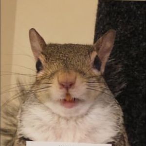 Meet your Posher, Lola